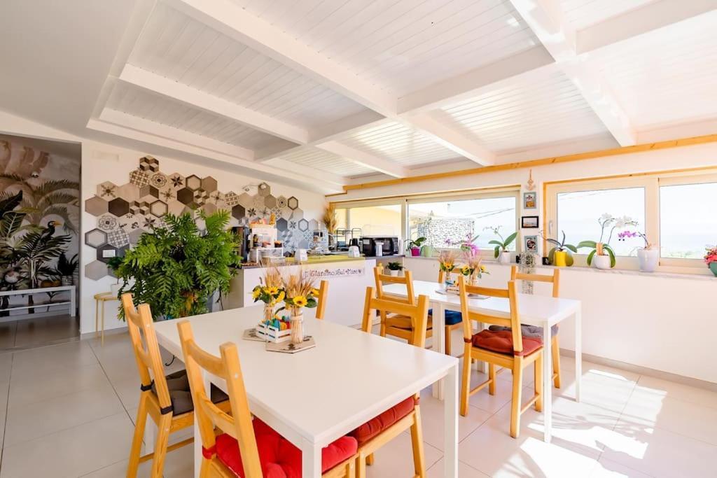 B & B Il Giardino Sul Mare Briatico Eksteriør billede